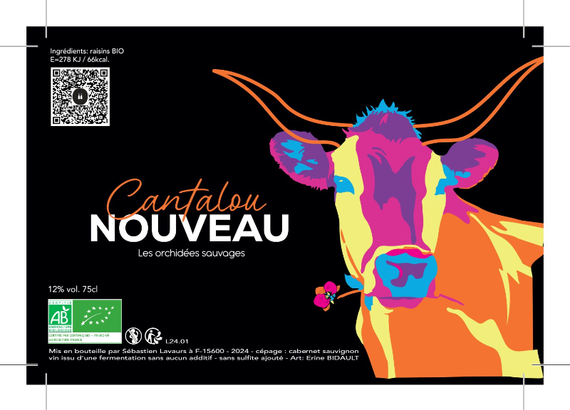 Cantalou Nouveau